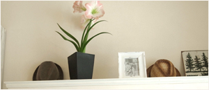 アクオスのキャンペーン情報