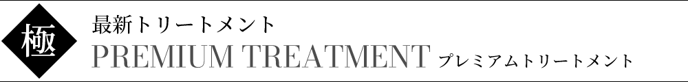プレミアムトリートメント