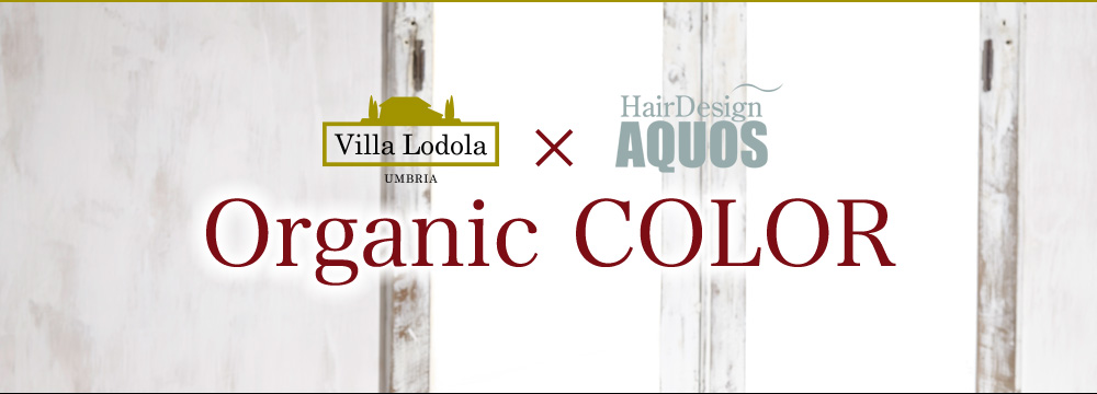 Villa Lodola ヴィラロドラ